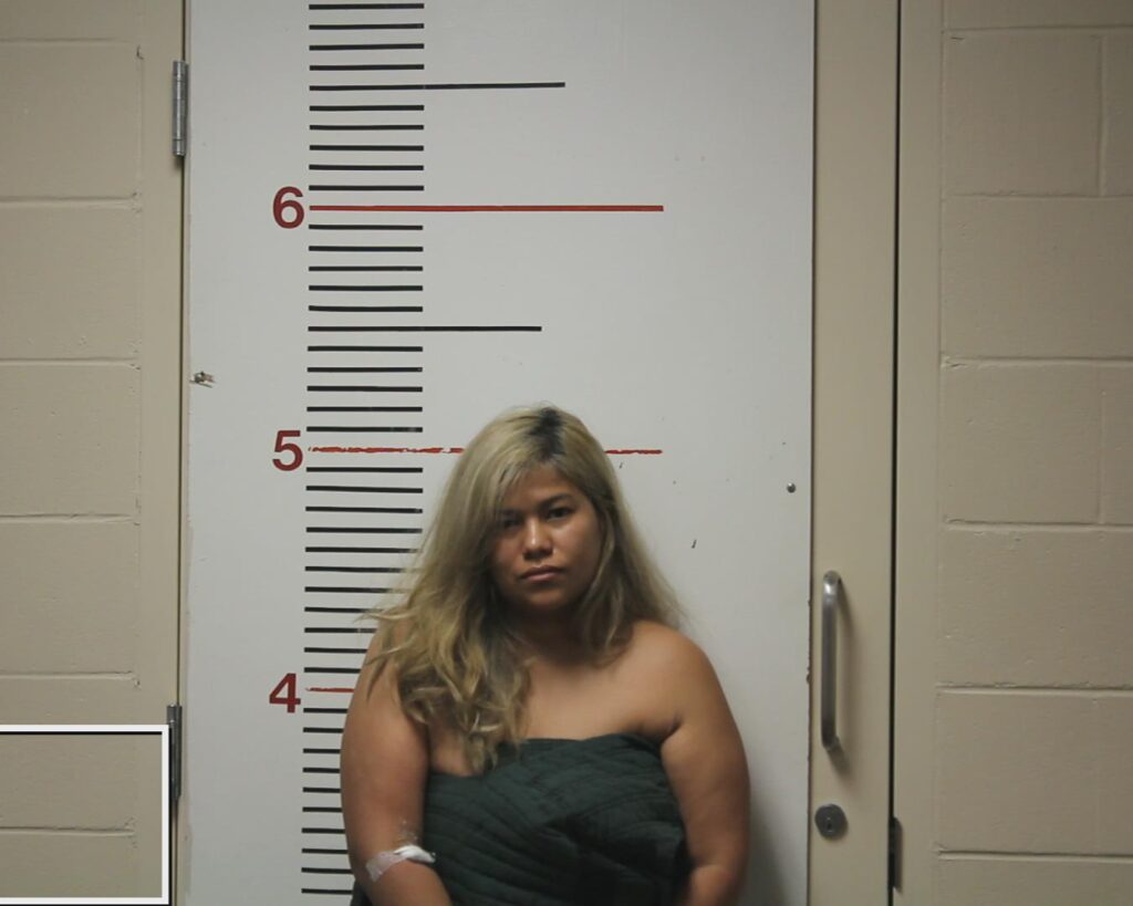 SANTOS-EUCEDA, NOLVIA MARITZA booking photo