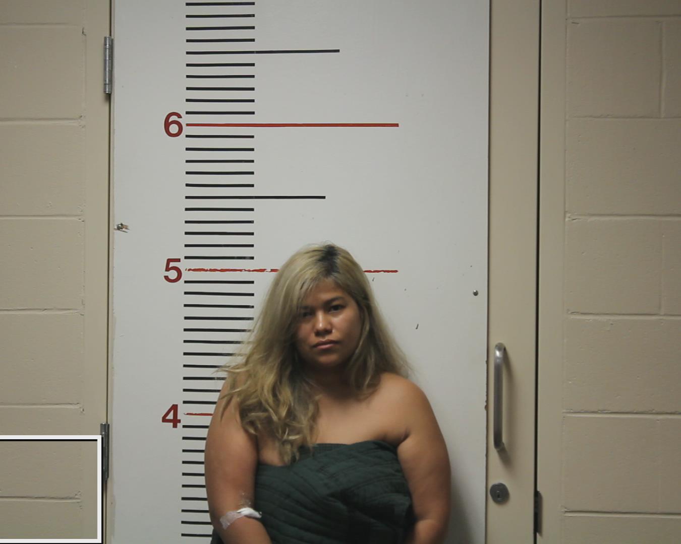 SANTOS-EUCEDA, NOLVIA MARITZA booking photo