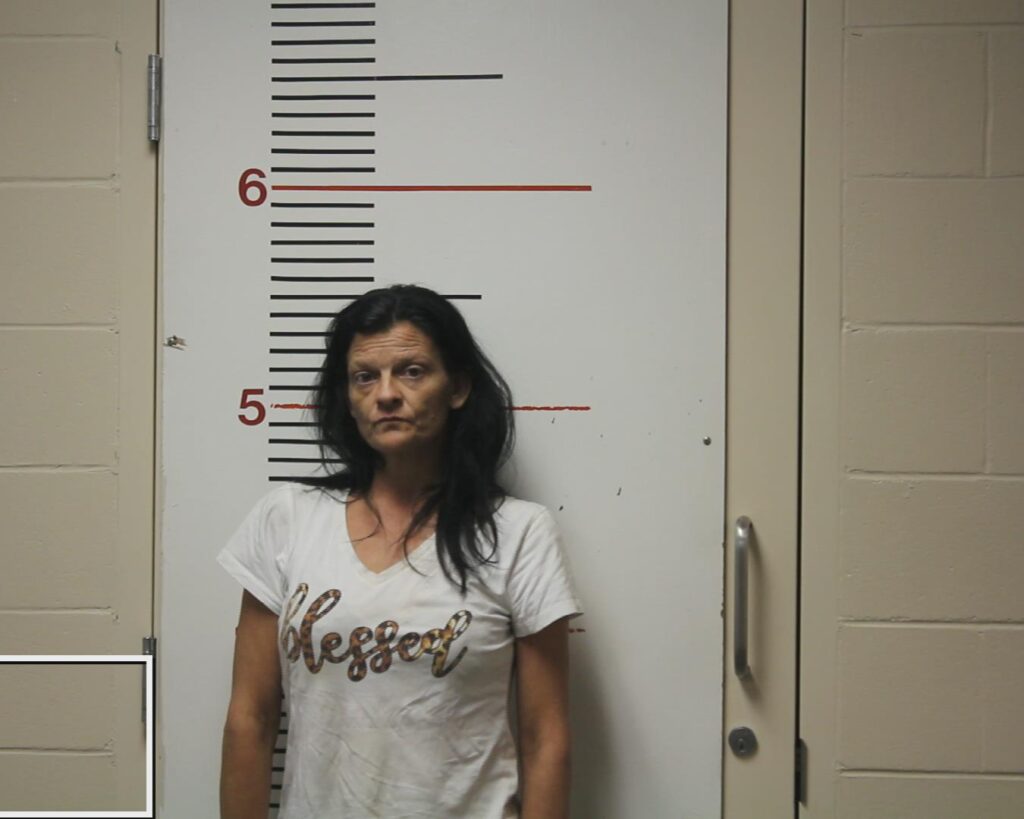 WILLIS, LISA ANN booking photo