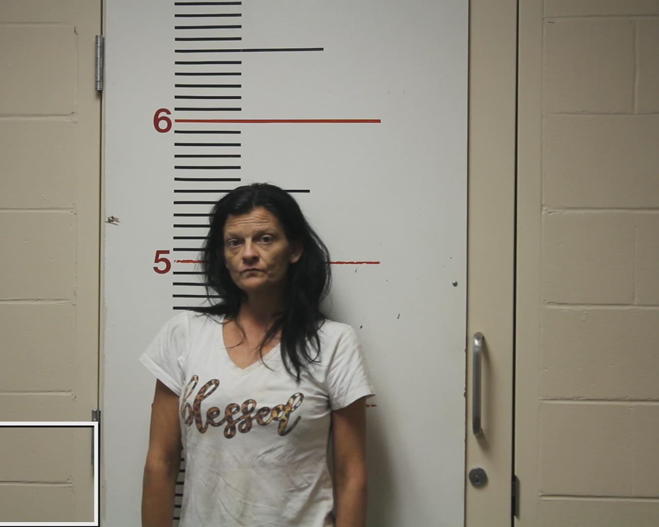 WILLIS, LISA ANN booking photo
