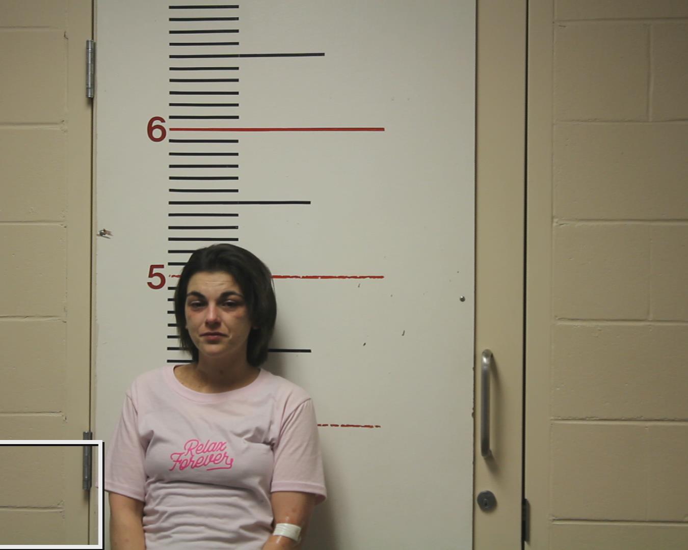 COBB, CONSTANCE RACHELLE booking photo