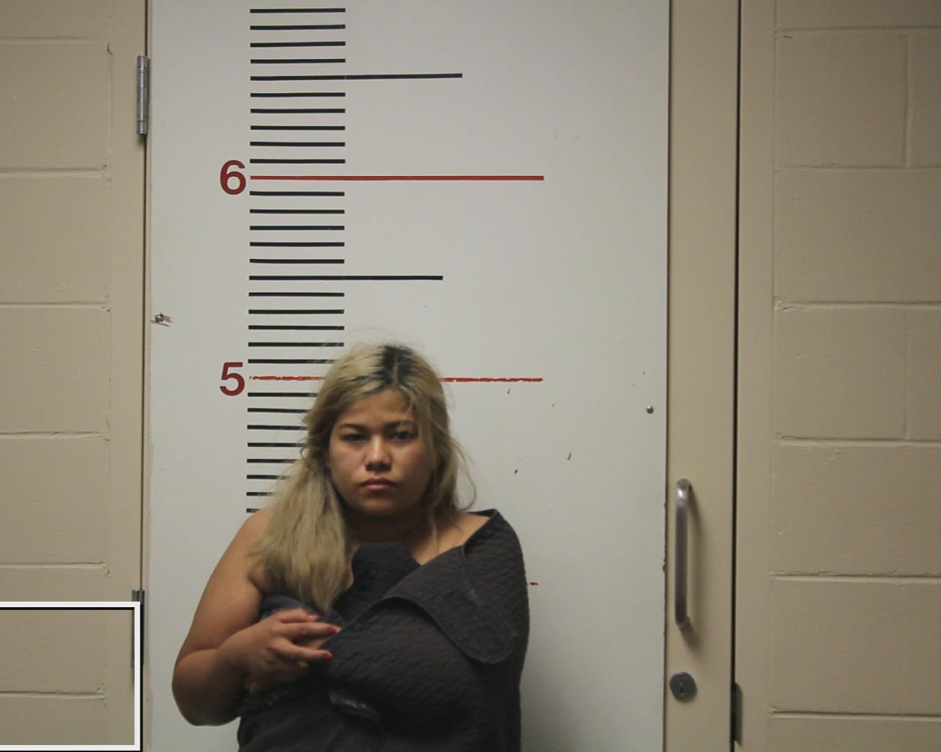 SANTOS-EUCEDA, NOLVIA MARITZA booking photo