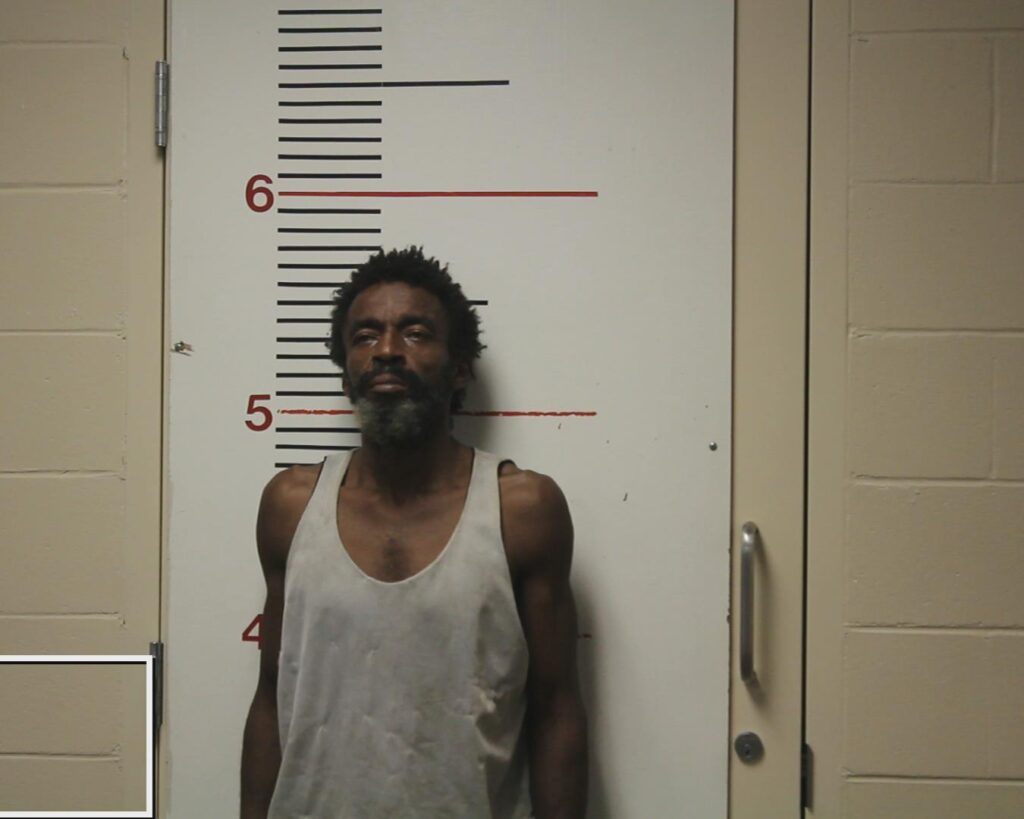 DAVIS, WILLIAM EARL, Jr. booking photo