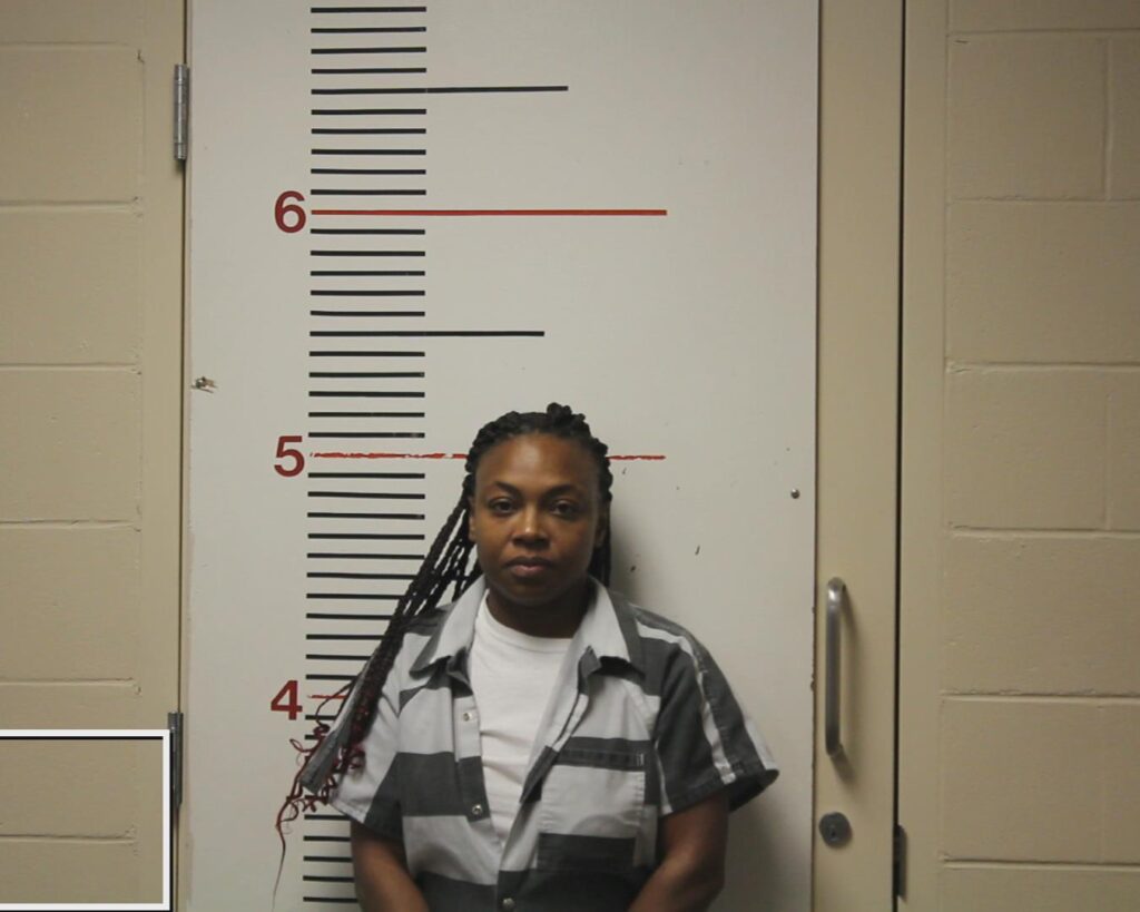 TURNER, ASHLEY LYNN booking photo