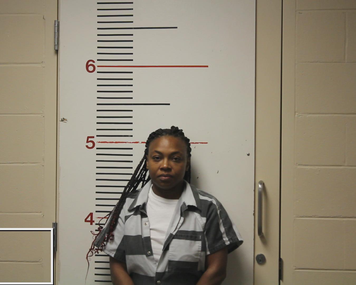 TURNER, ASHLEY LYNN booking photo