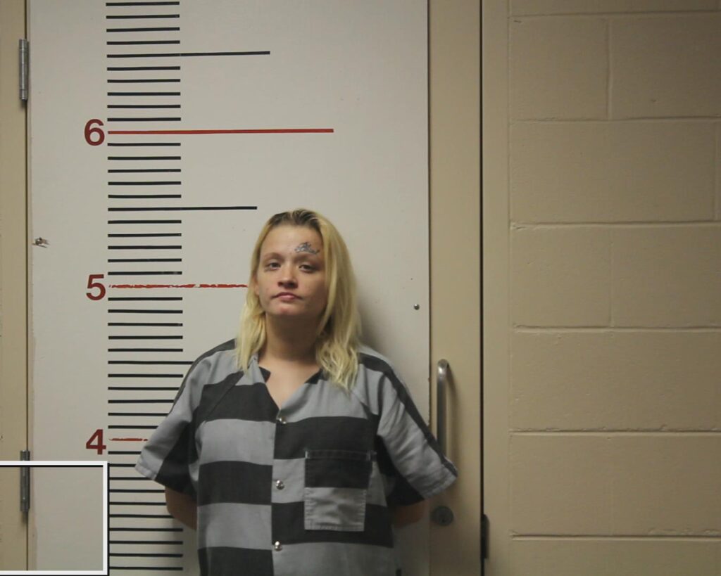 JONES, SHEILA FRANCINE booking photo