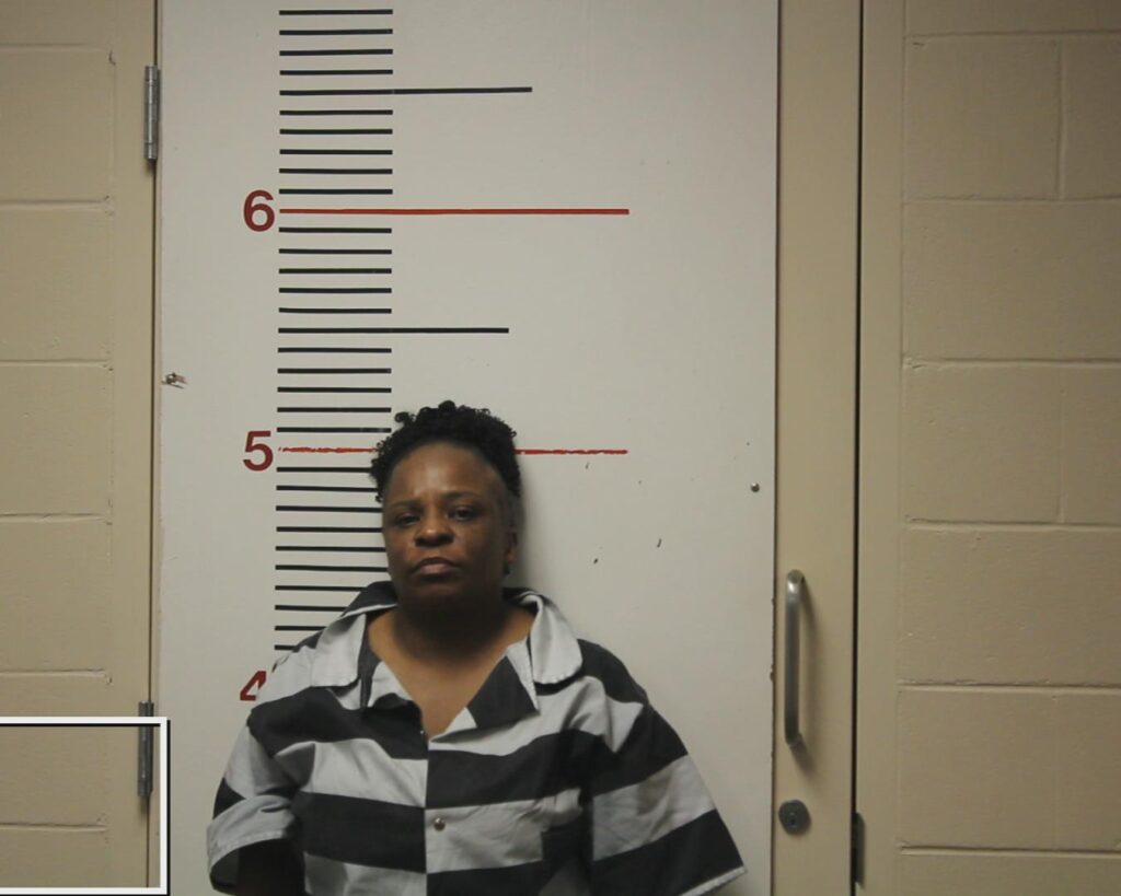 HAGIN, STEPHANIE ROCHELLE booking photo