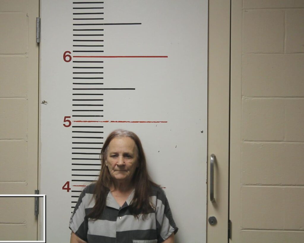 CROMEANS, PATRICIA ANN booking photo