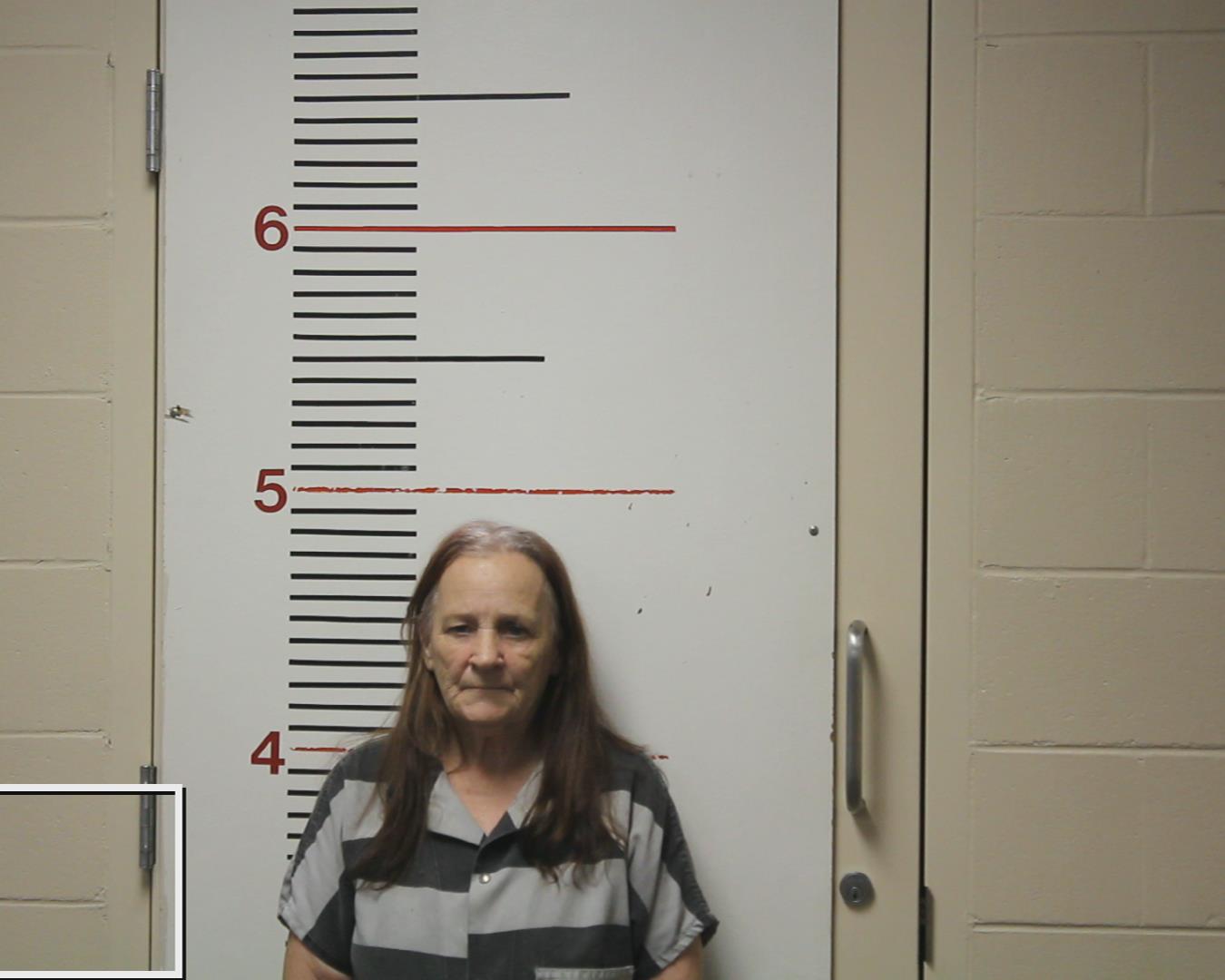 CROMEANS, PATRICIA ANN booking photo