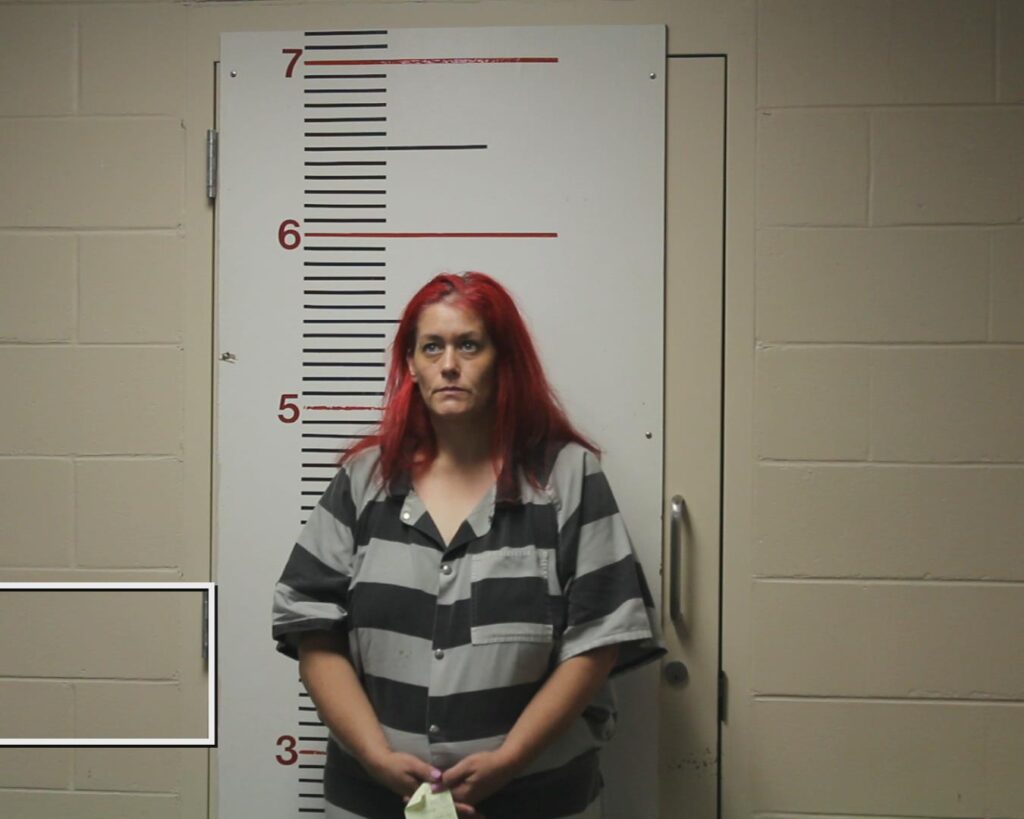 WILLIAMS, JENNIFER DAWN booking photo