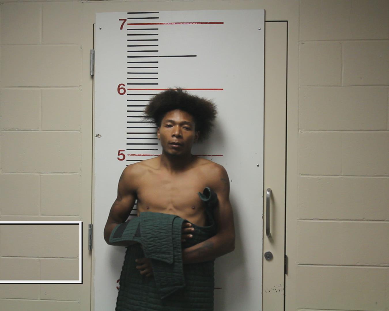 WILLIS, QUINCY JAMAR booking photo