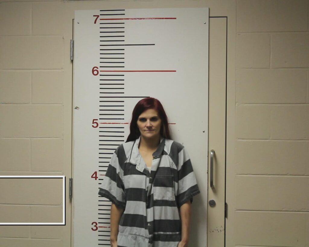 PARTLOW, GAITANA LEE booking photo