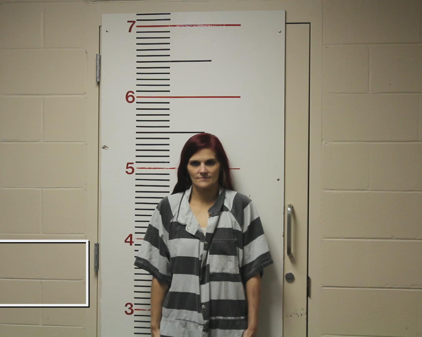 PARTLOW, GAITANA LEE booking photo