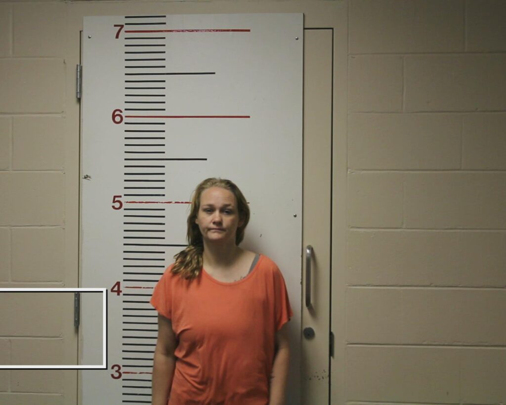 HOLDEN, ASHLEY NICOLE booking photo