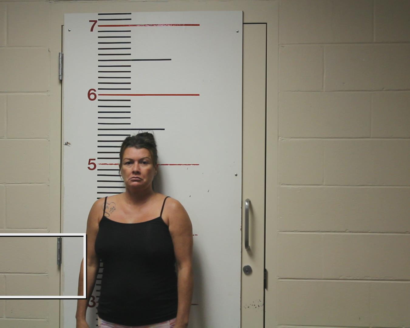 WEST, STEPHANIE LYNN booking photo