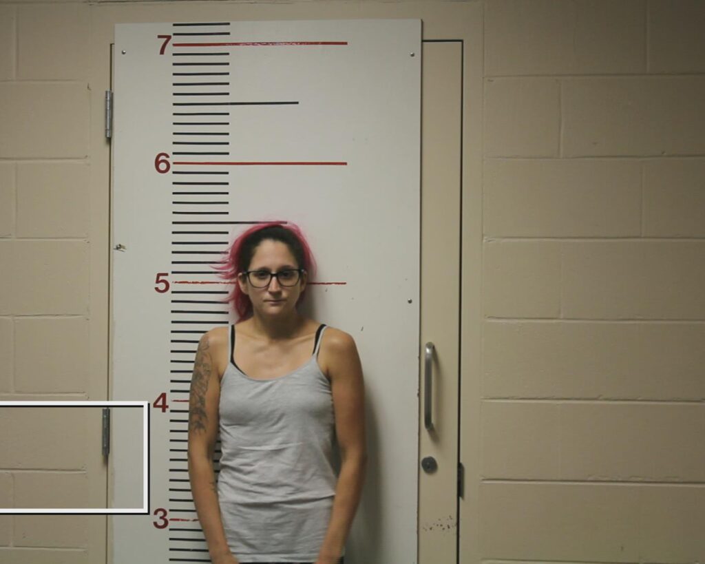 BAKER, MEGAN BRIANNE booking photo