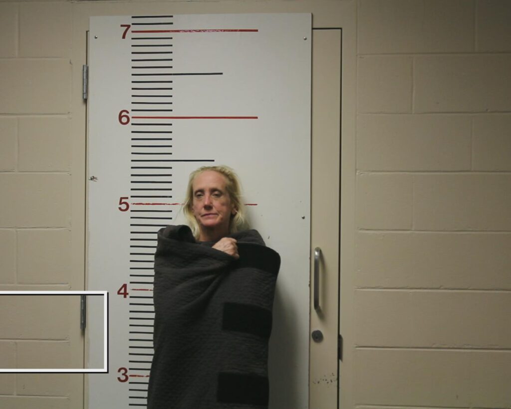 HARMS, TRACY DENISE booking photo