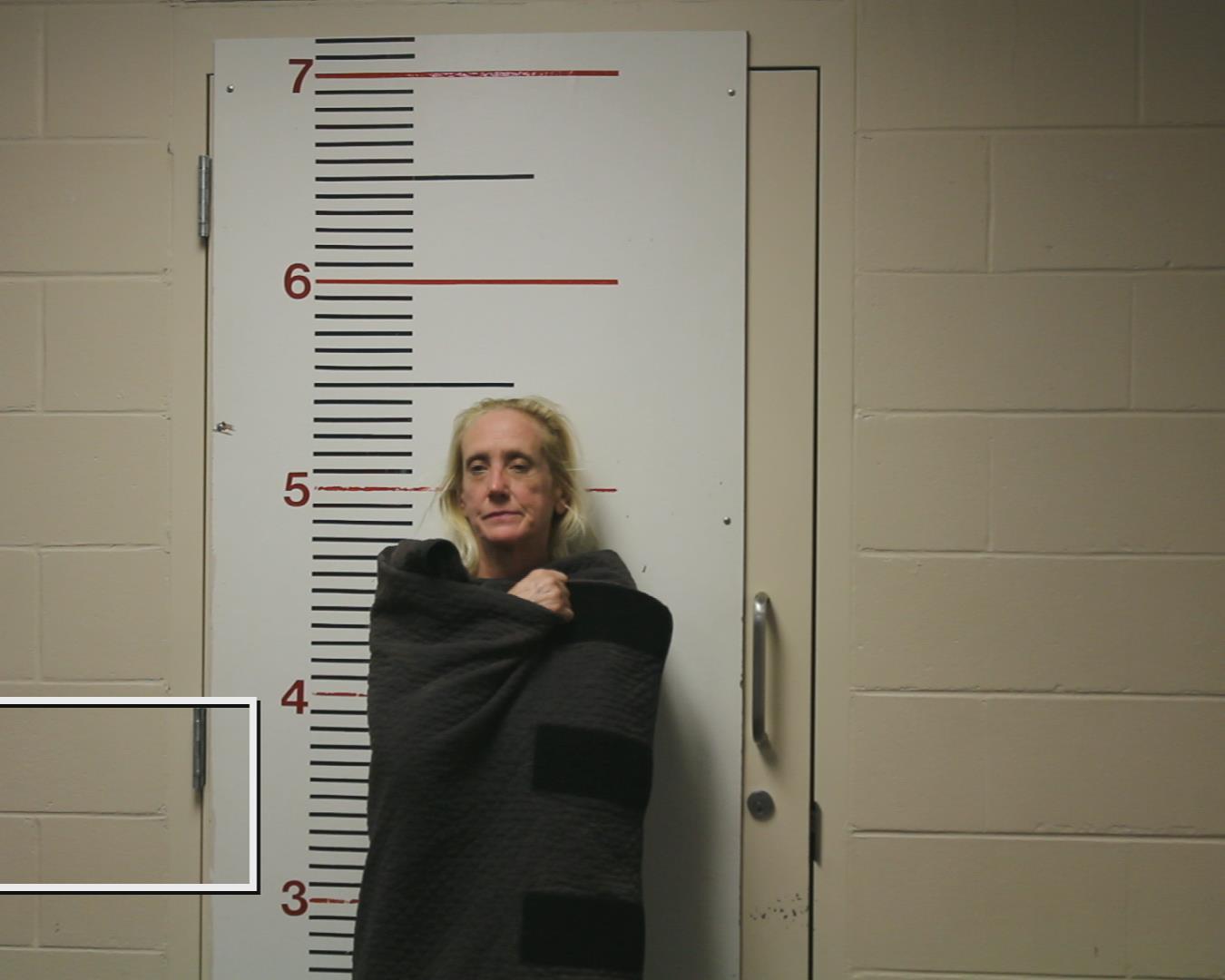 HARMS, TRACY DENISE booking photo