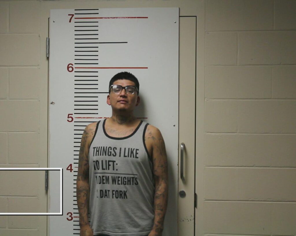 TOVAR, LEOPOLDO booking photo