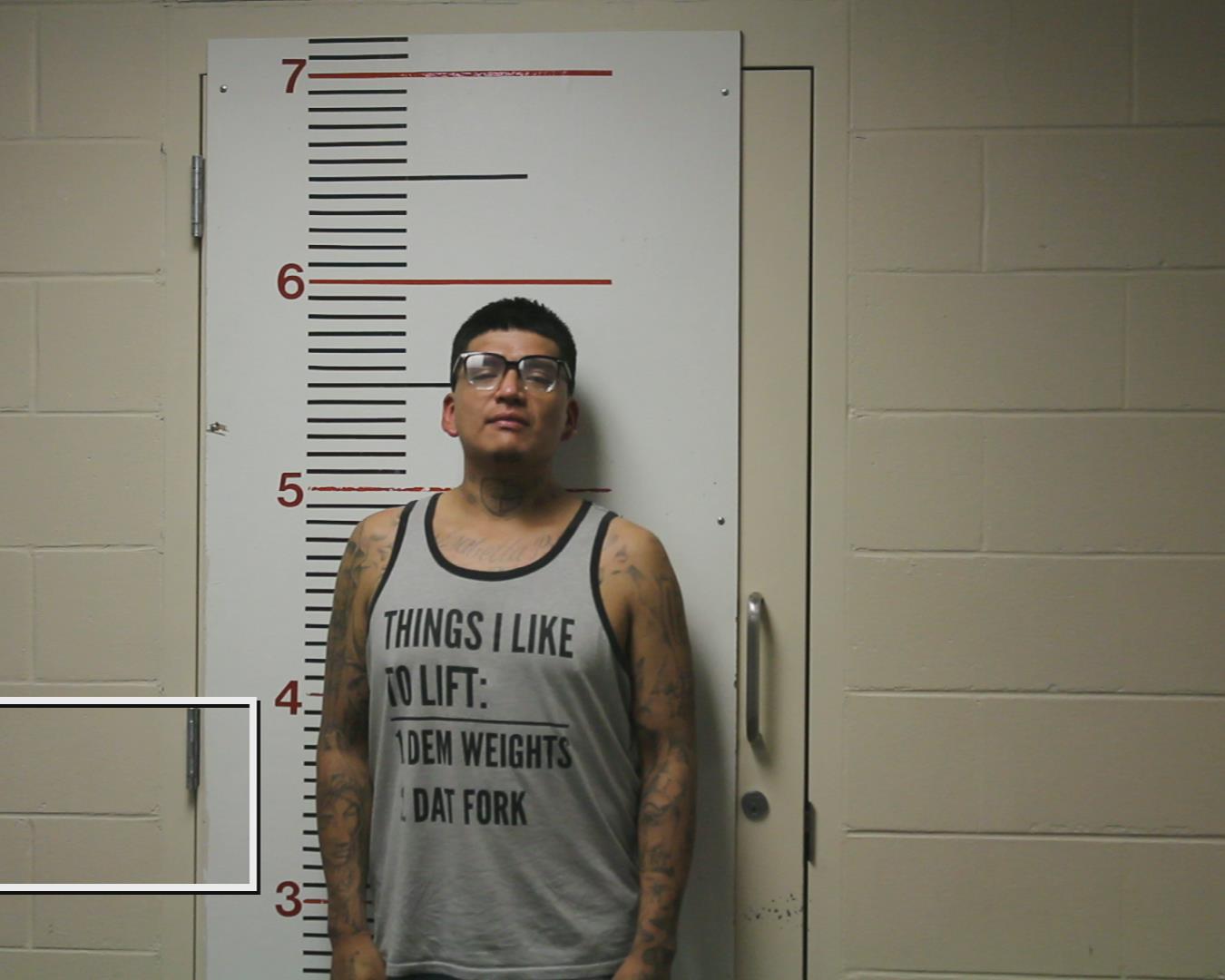 TOVAR, LEOPOLDO booking photo