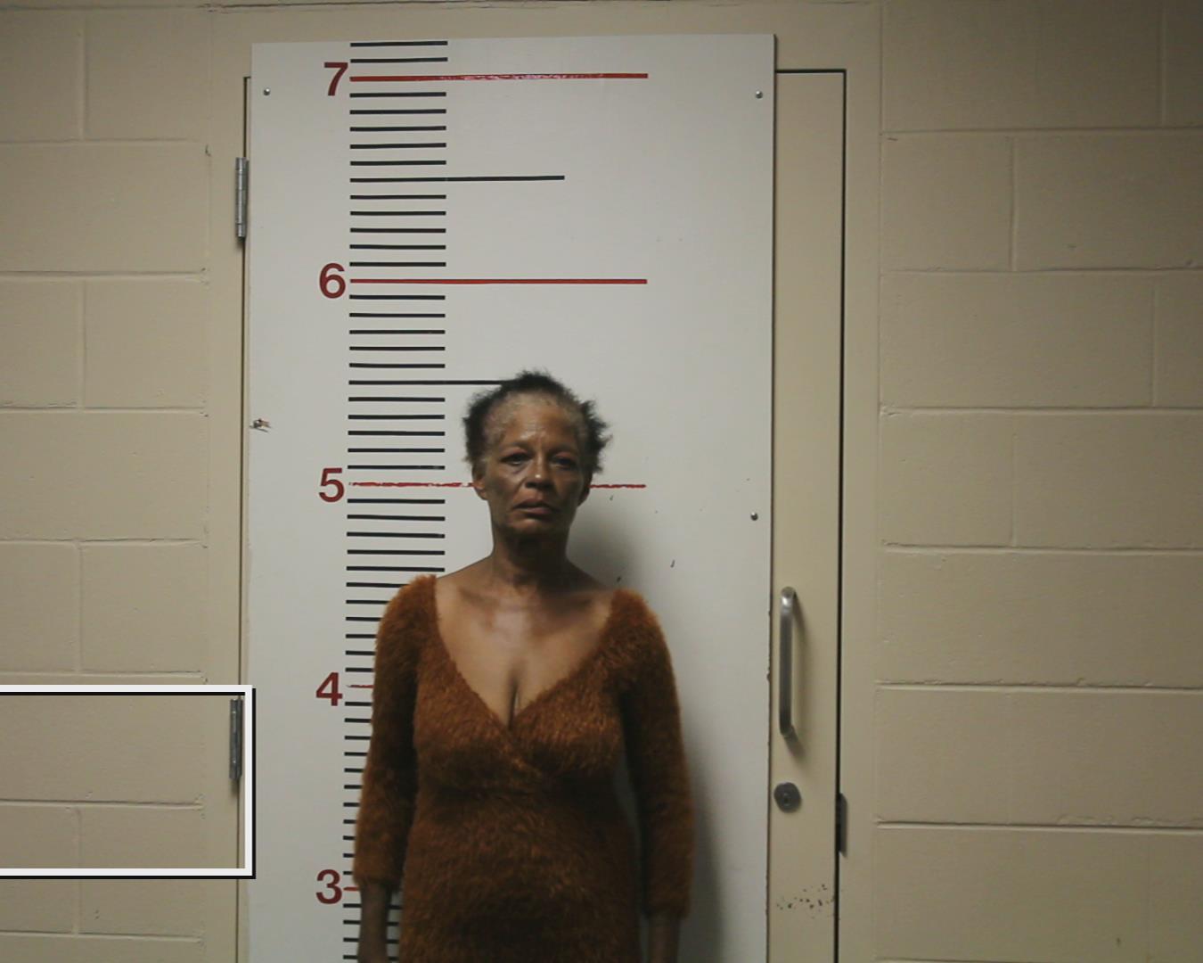 BENSON, MARGARET D. booking photo