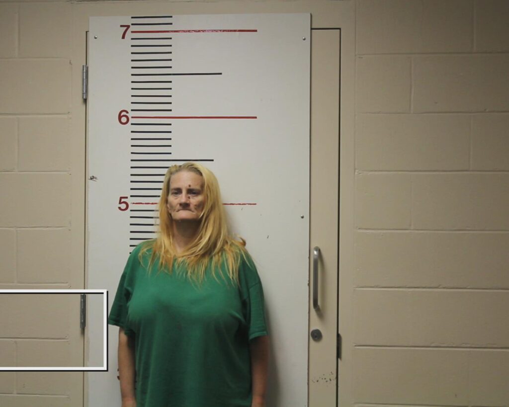 VAUGHAN, CRYSTAL DEANNE booking photo