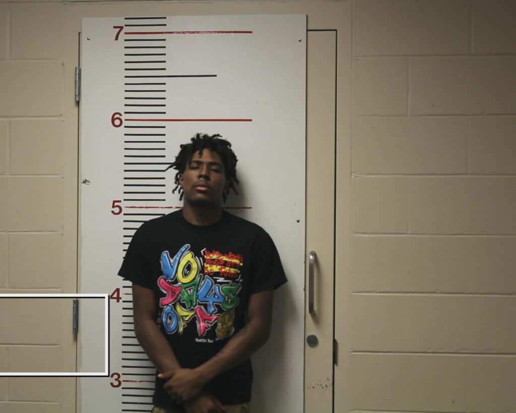 BALDWIN, ZENA'SHON HARDIN booking photo