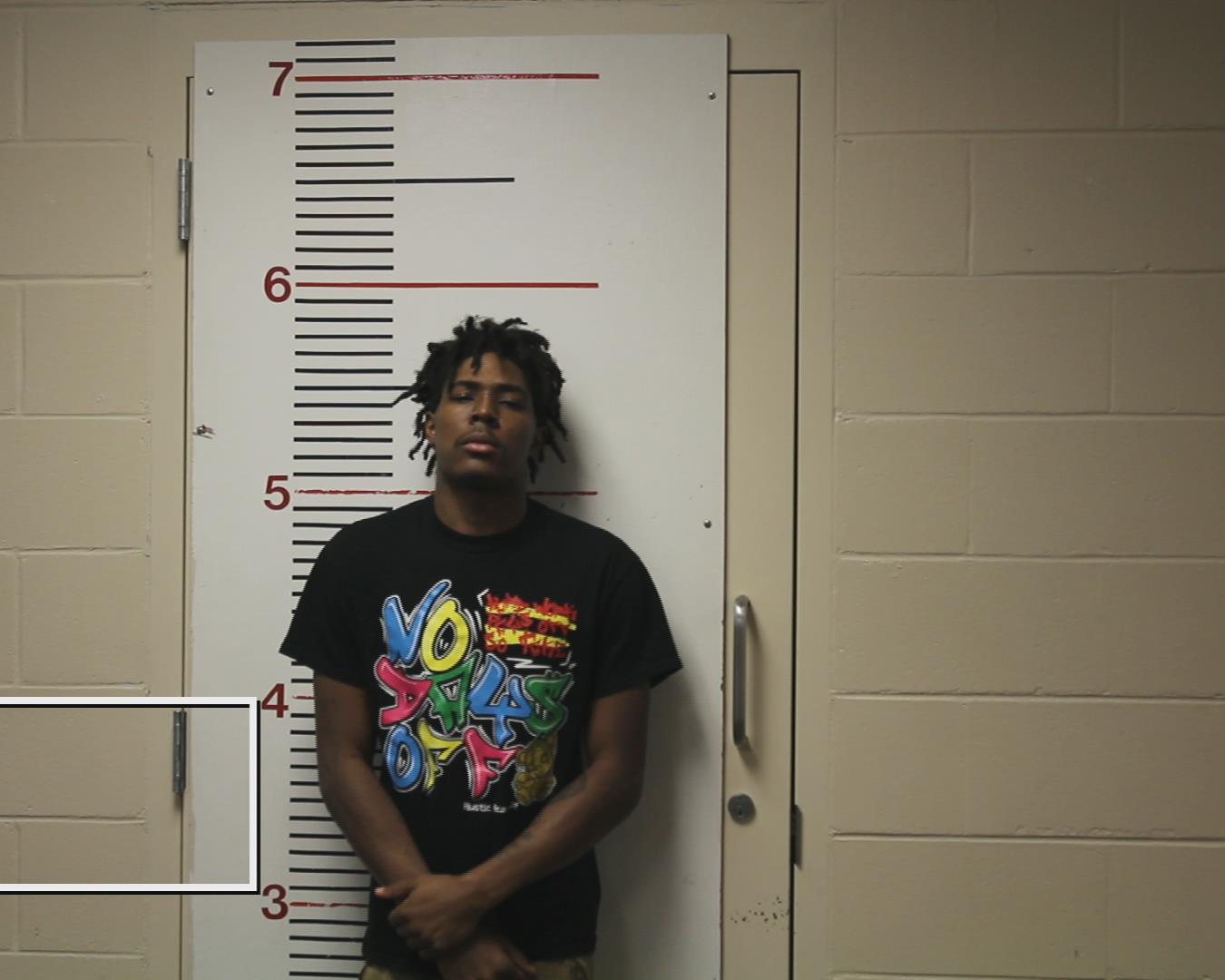 BALDWIN, ZENA'SHON HARDIN booking photo