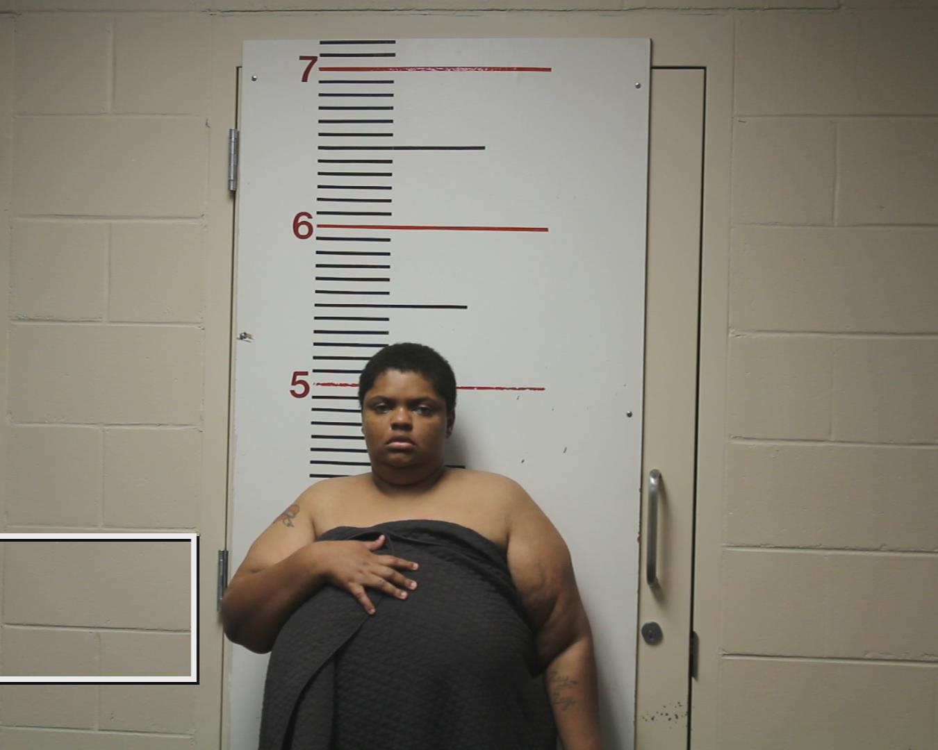 ATKINS, ABRIANNA booking photo