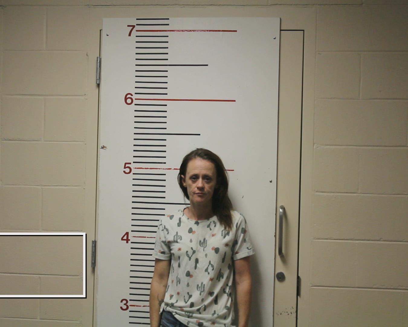 HUDDLESTON, JACLYNN booking photo