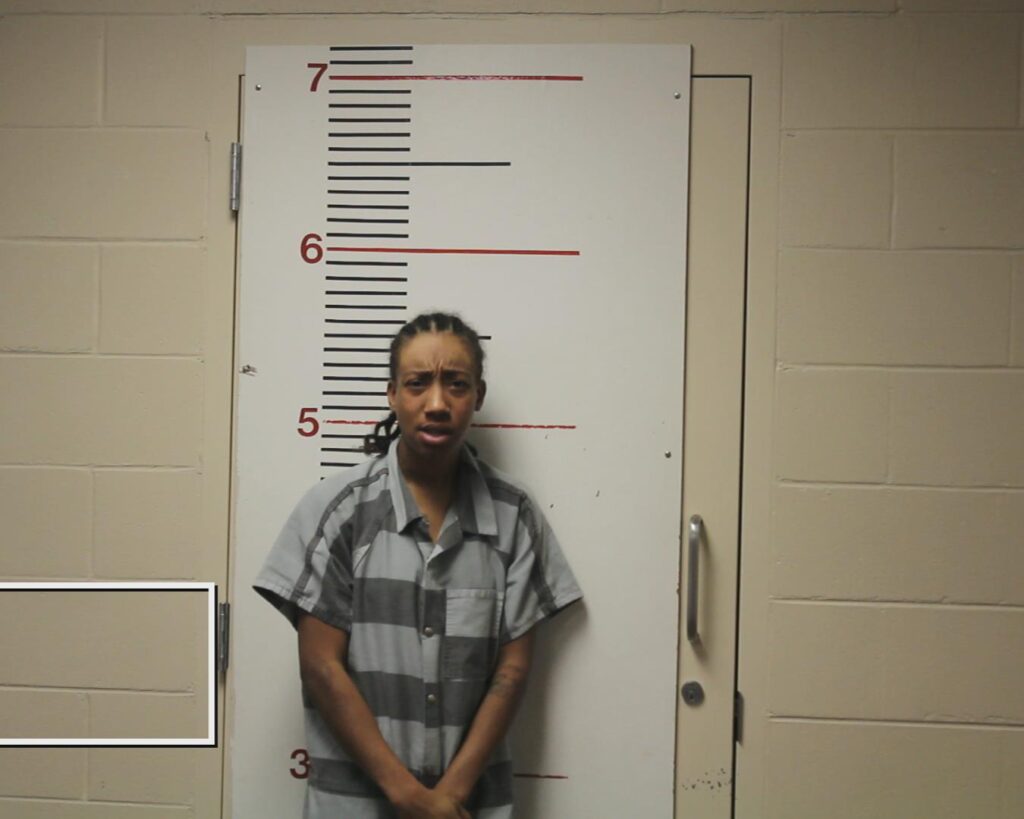 JONES, ZENOBIA COMMISSIONG booking photo