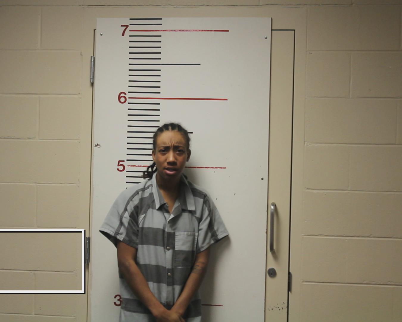 JONES, ZENOBIA COMMISSIONG booking photo