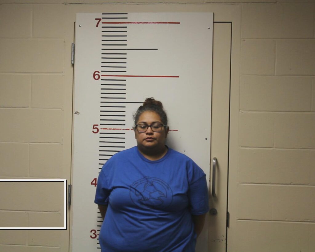 ROCHA, NOEMI booking photo