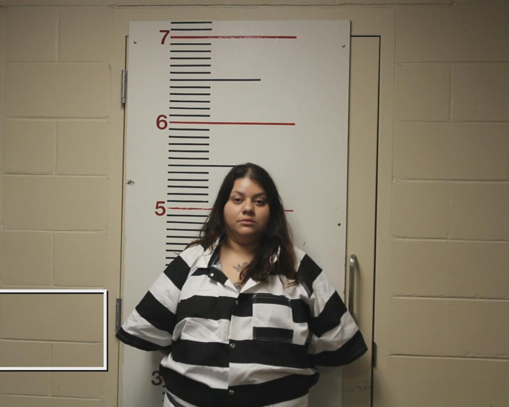 ALVARADO, ASHLEY MARIE booking photo