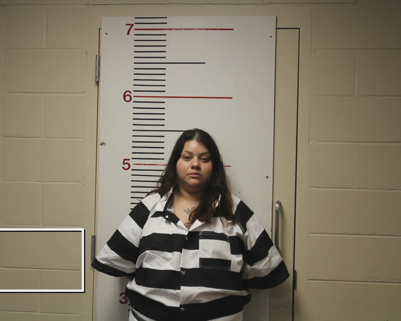 ALVARADO, ASHLEY MARIE booking photo