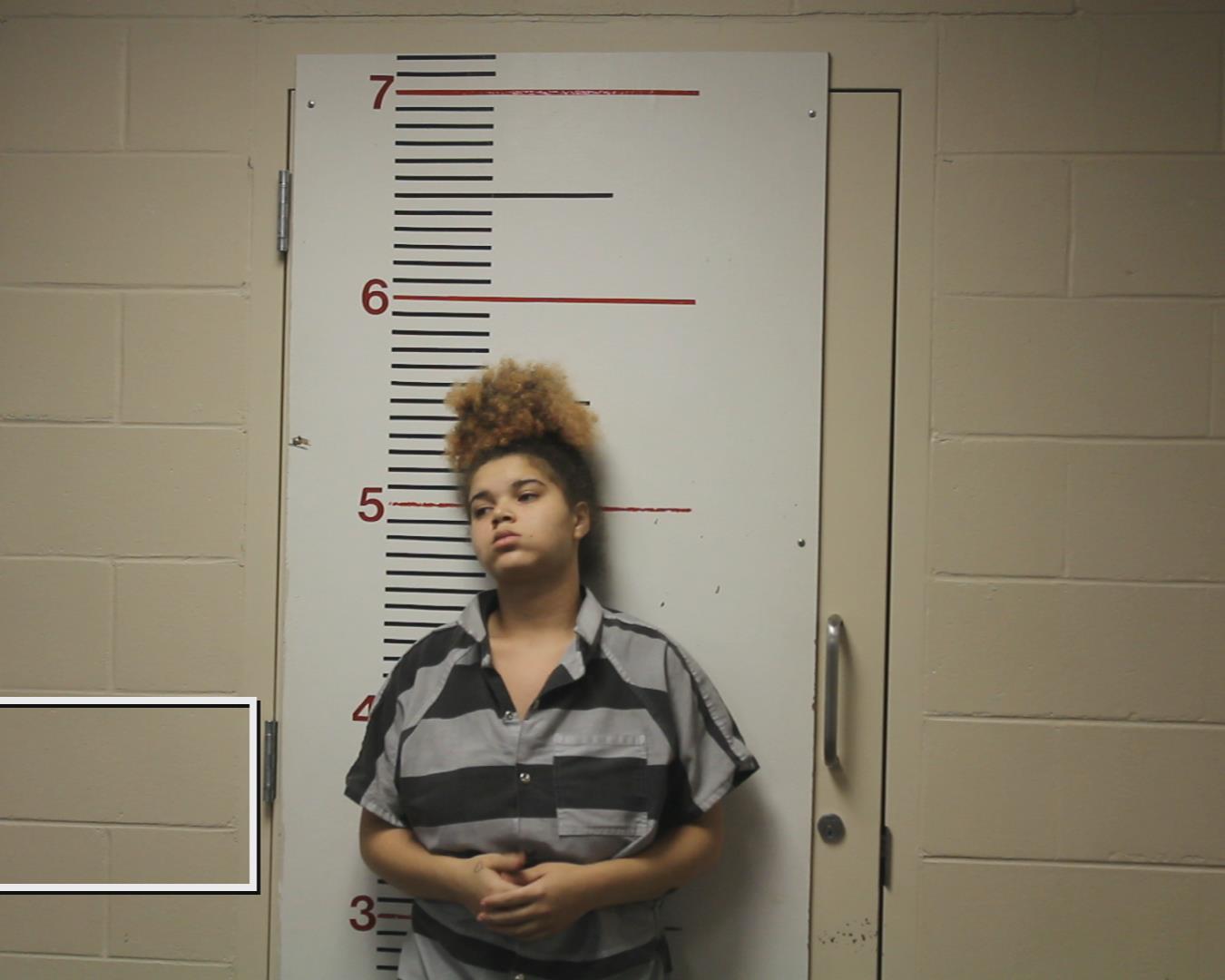 SIMMONS, LARANDA CHEYANN booking photo