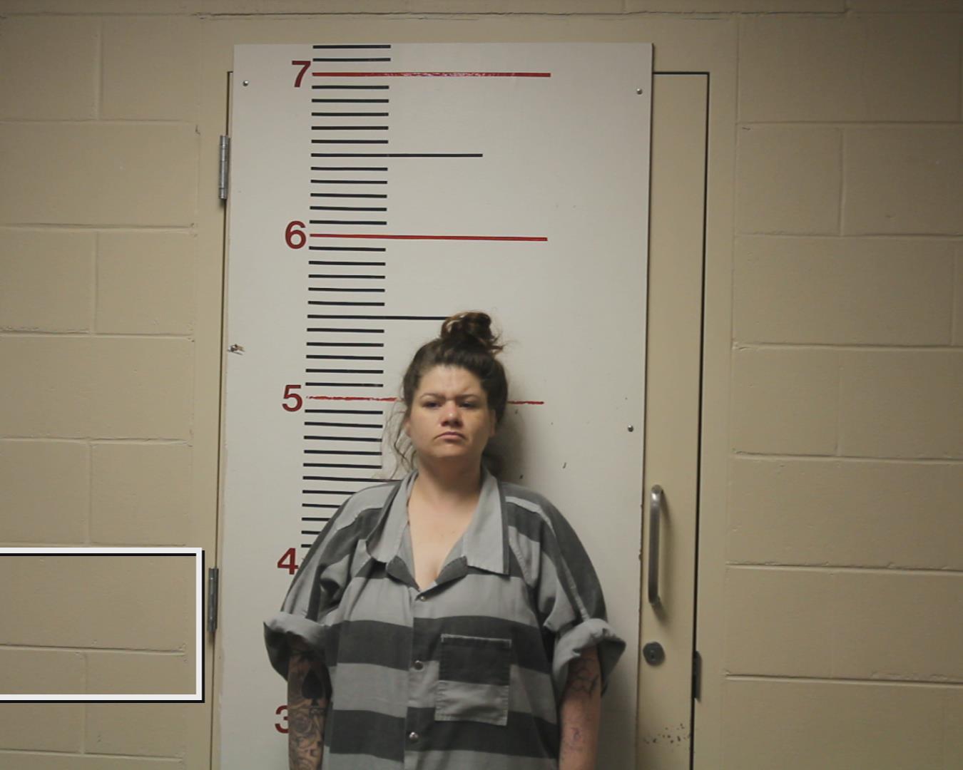 BRAINARD, MICA ELIZABETH booking photo