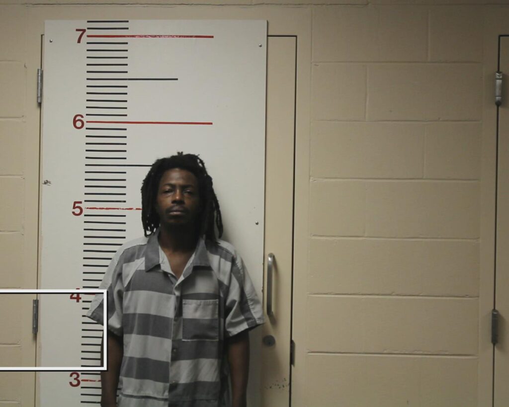 TURNER, CEDRICK DEMON booking photo