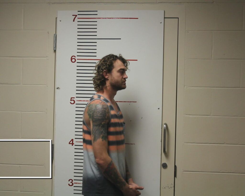 BAILEY, AARON JAMES booking photo