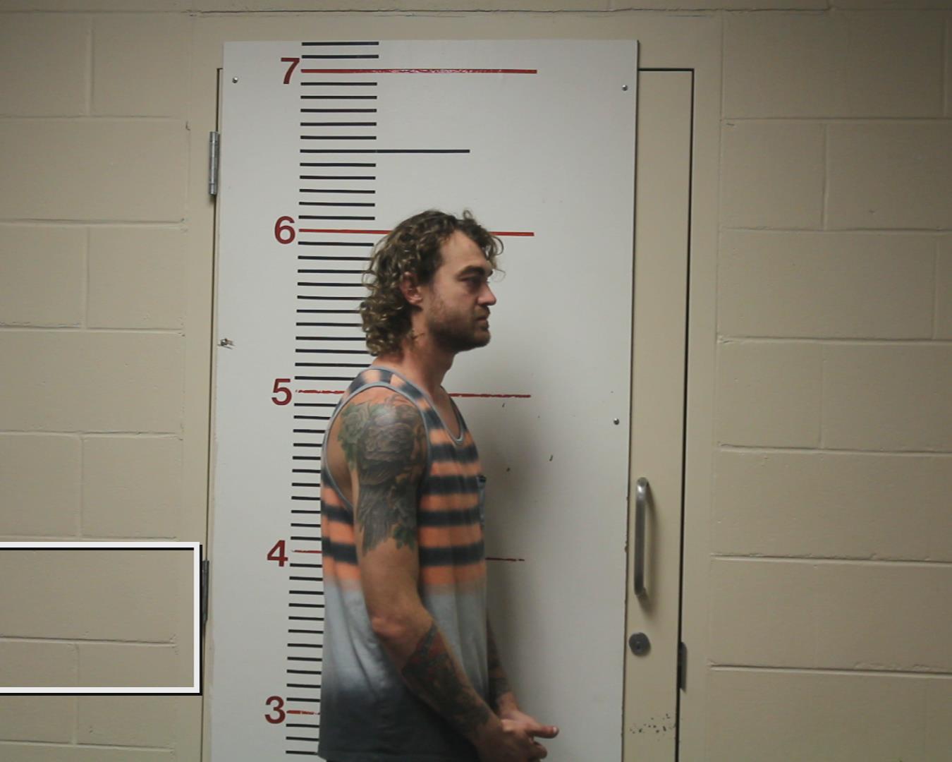 BAILEY, AARON JAMES booking photo