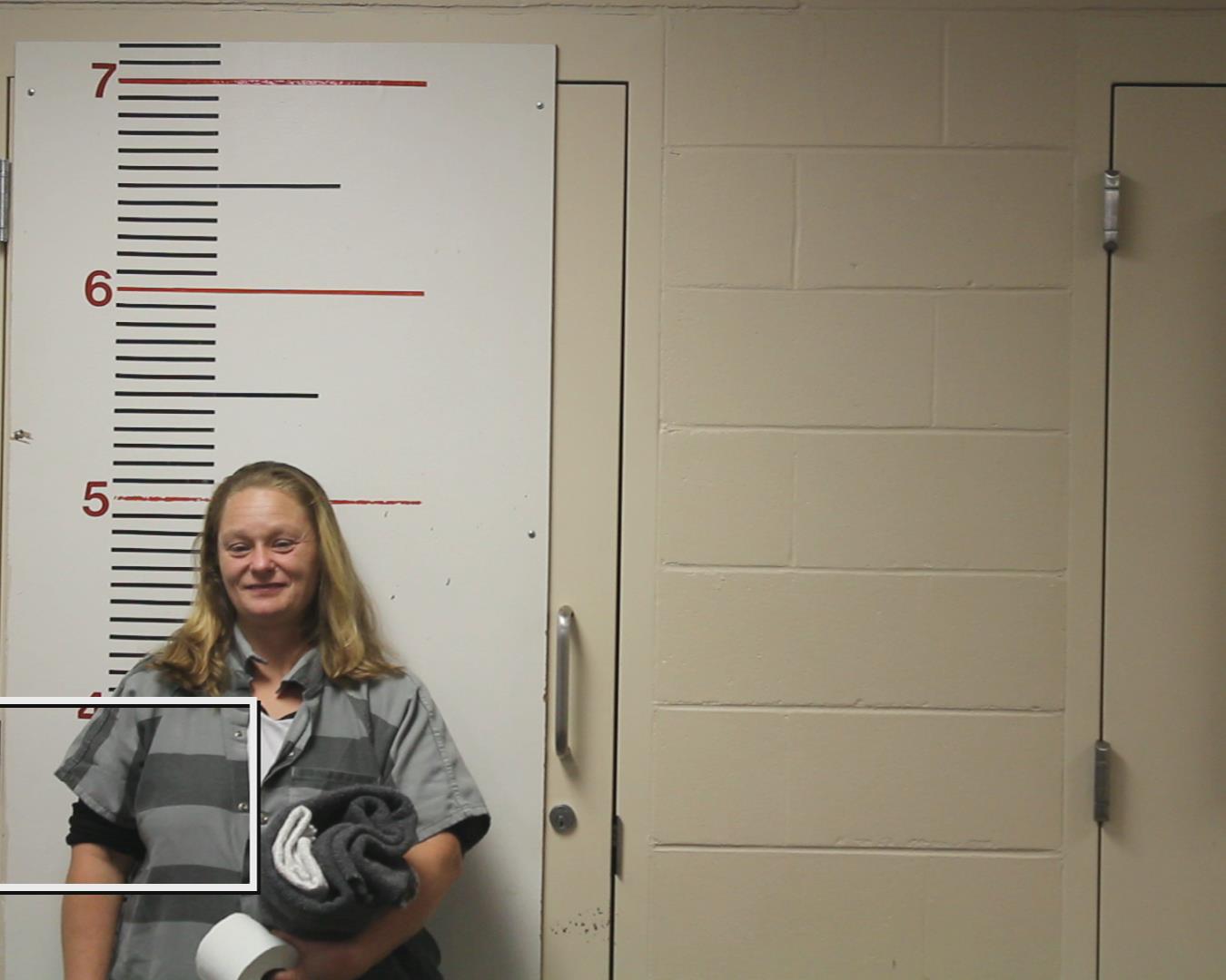 SHIFLET, LEAH DENISE booking photo