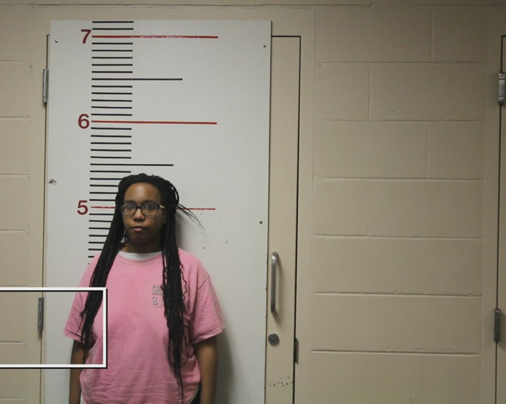 COOK, KAYLA LAPREA booking photo