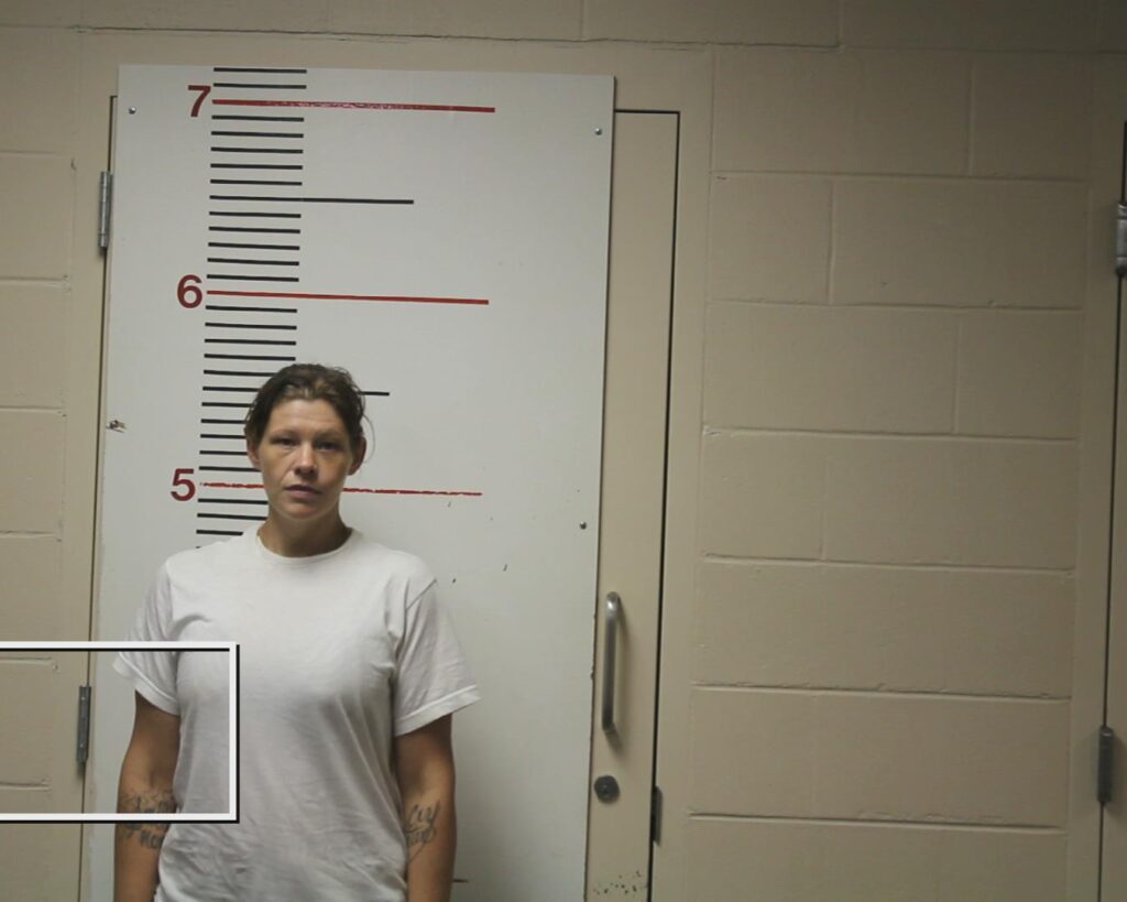 WADE, HANNAH MARIE booking photo