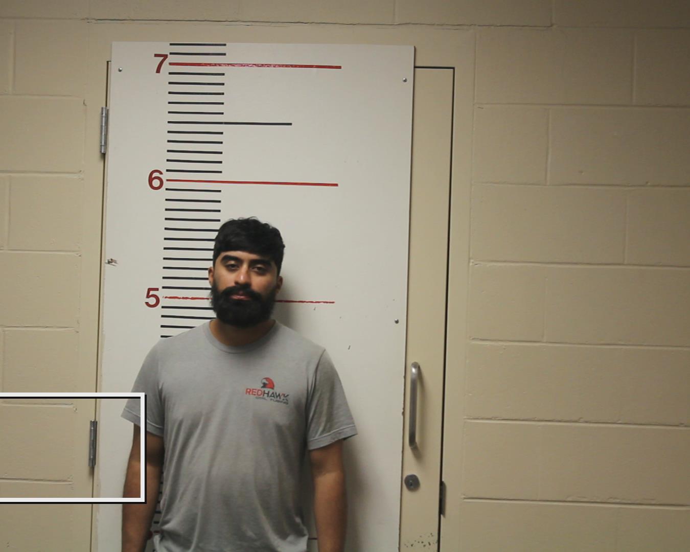 NAVARRO, ALEJANDRO booking photo