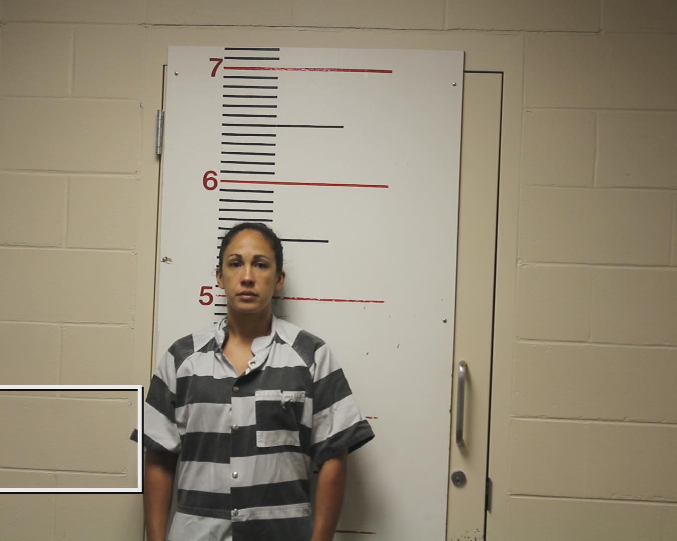 JONES, JAMIE MARIE booking photo