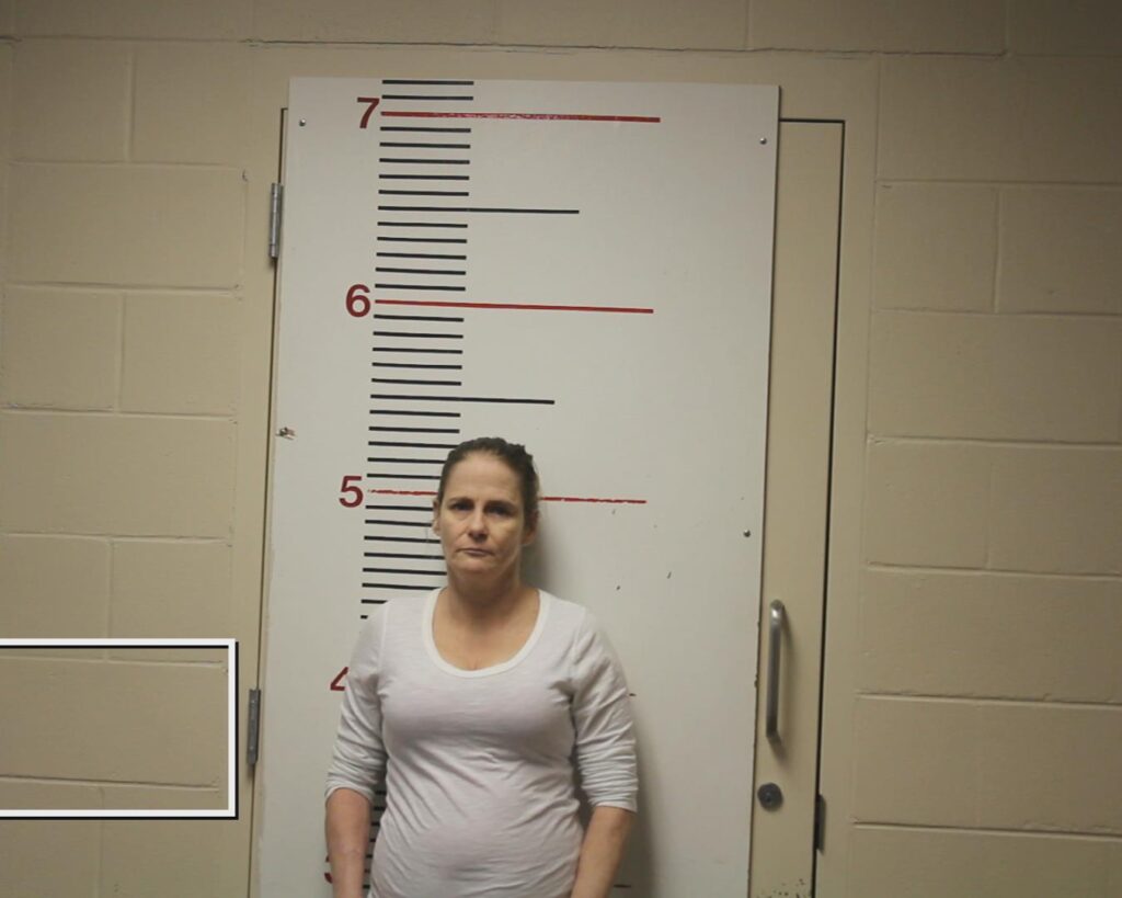 WILCOX, MISTY DAWN booking photo