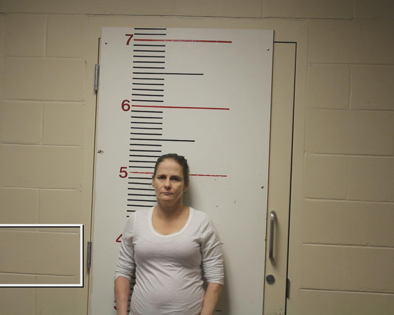 WILCOX, MISTY DAWN booking photo