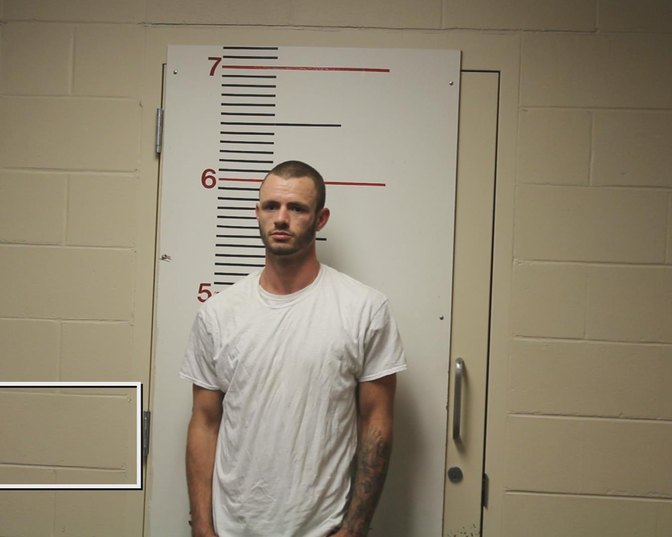 WILCOX, HUNTER GLENN booking photo