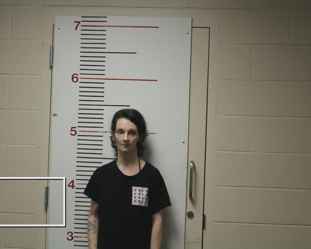 THOMPSON, KATHERYN MICHELL booking photo