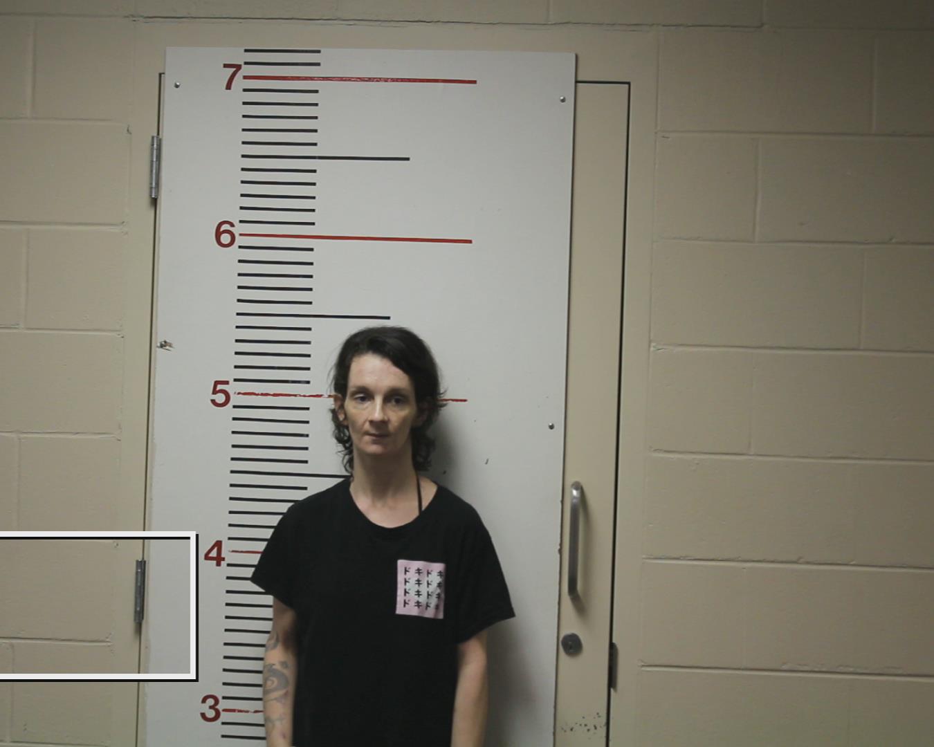 THOMPSON, KATHERYN MICHELL booking photo